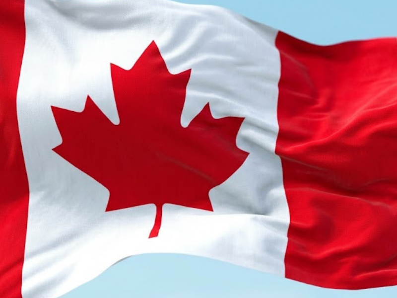 LGBTQ+ Refugees in Canada Get Boost From Conservative MP Fundraiser